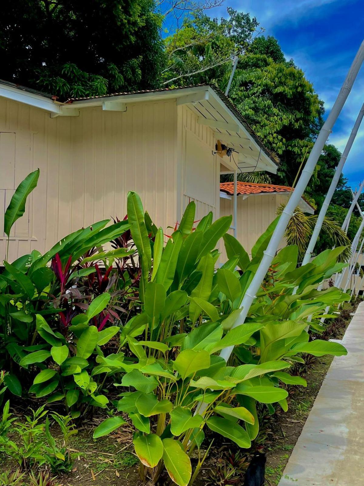 Grand Park Manuel Antonio - Adults Only Hotel Exterior photo